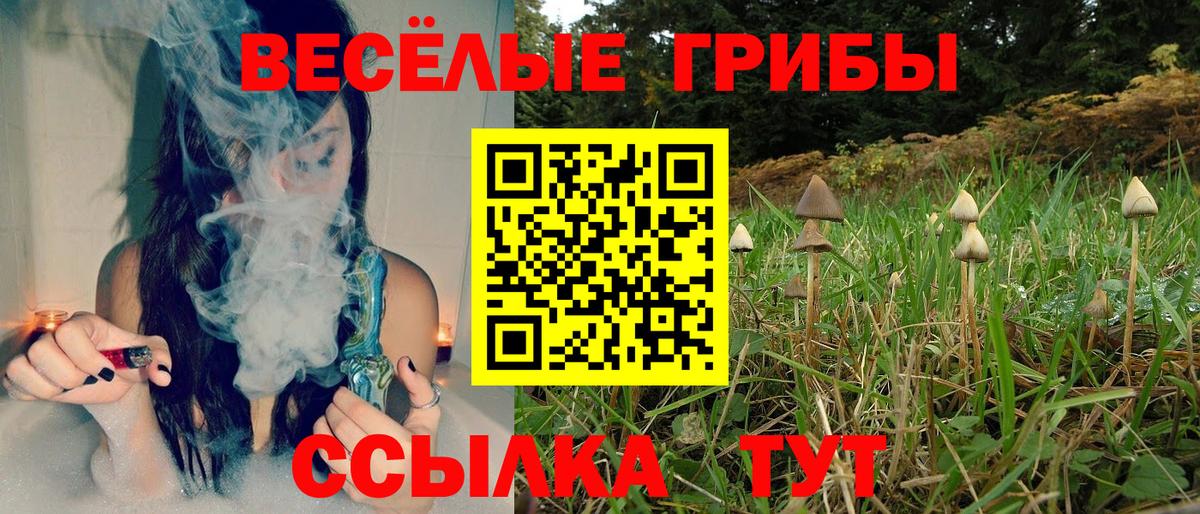 Скопин  Галлюциногенные грибы мухоморы  Вход с VPN 